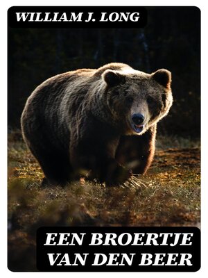 cover image of Een Broertje van den Beer